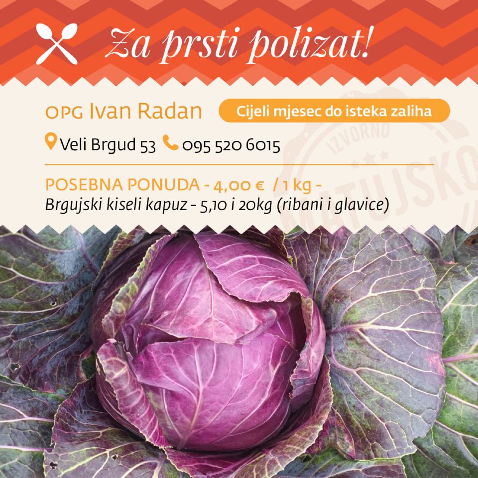 BRGUJSKI KAPUZ OPG-A IVAN RADAN 