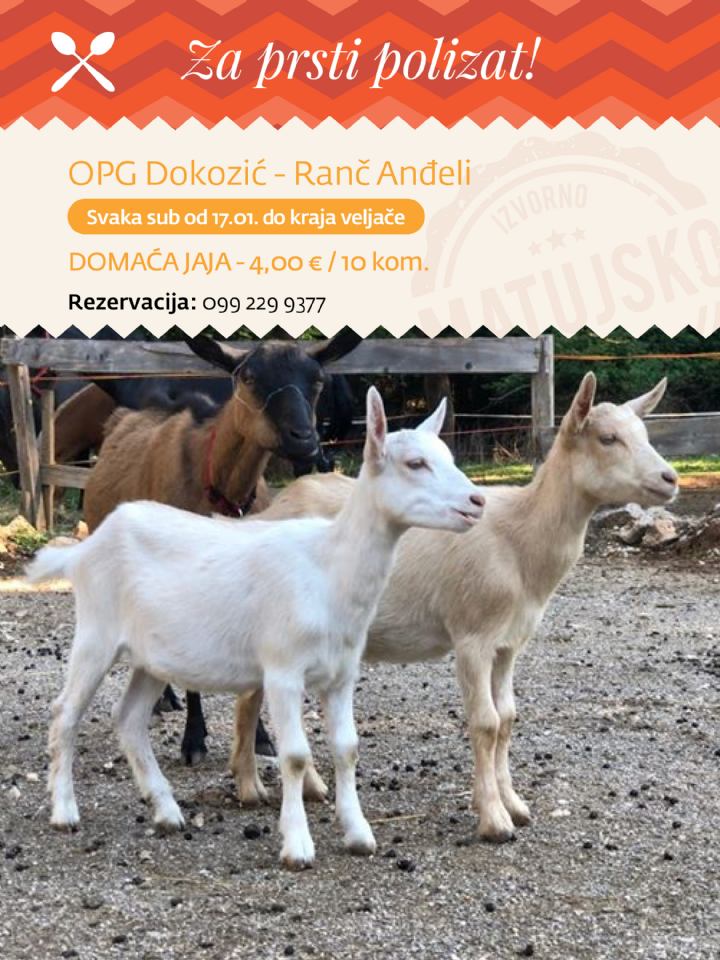 OPG DOKOZIĆ - RANČ ANĐELI